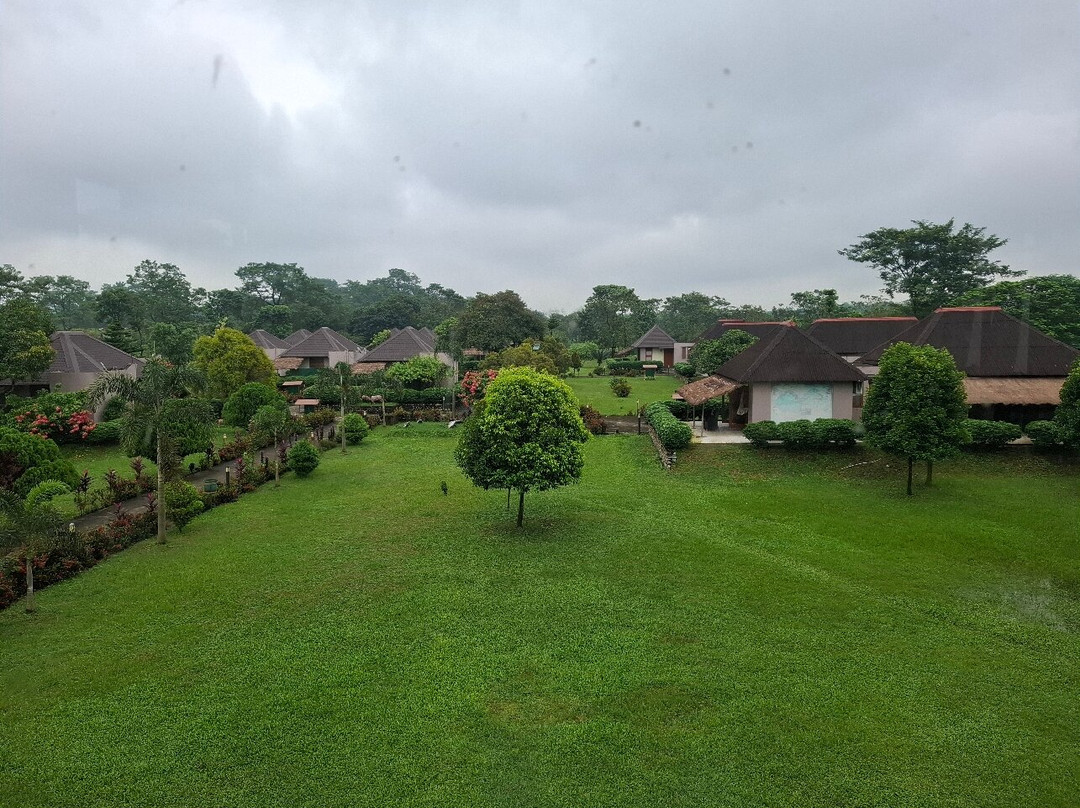 Musa Jungle Retreat主图