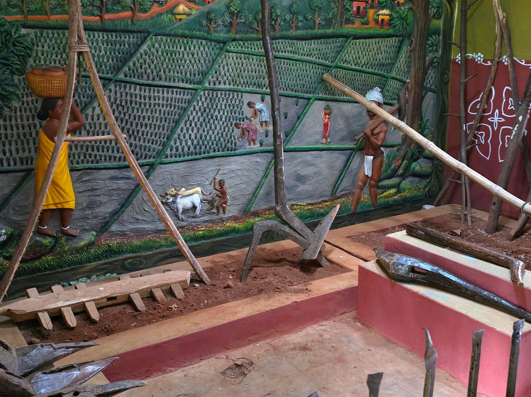 Araku Tribal Museum景点图片