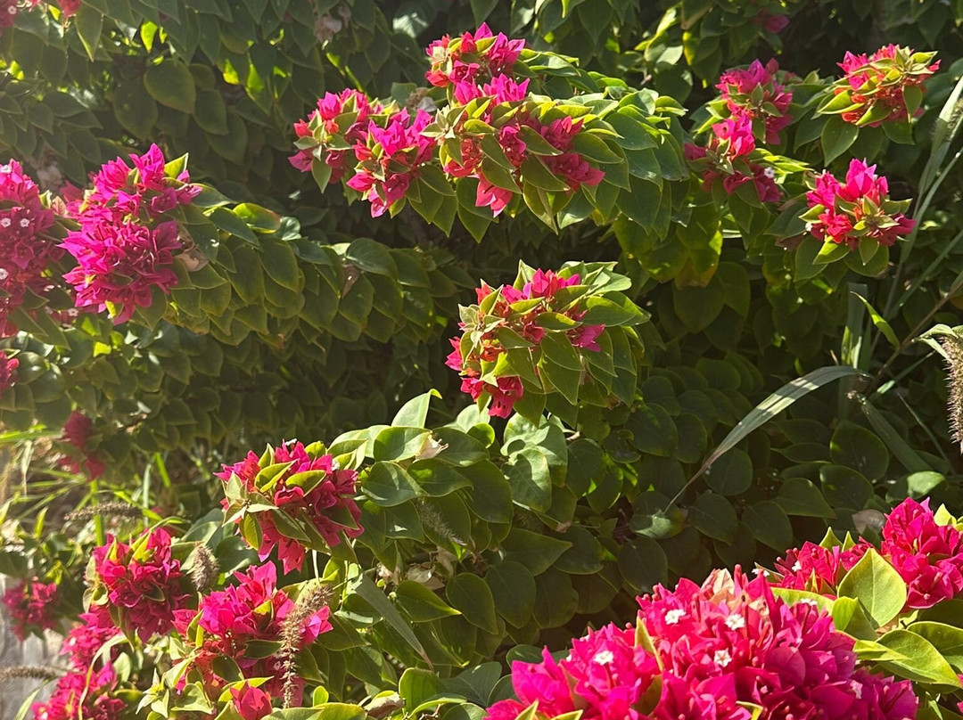 Crete Transport Taxi-伊拉克利翁必去景点