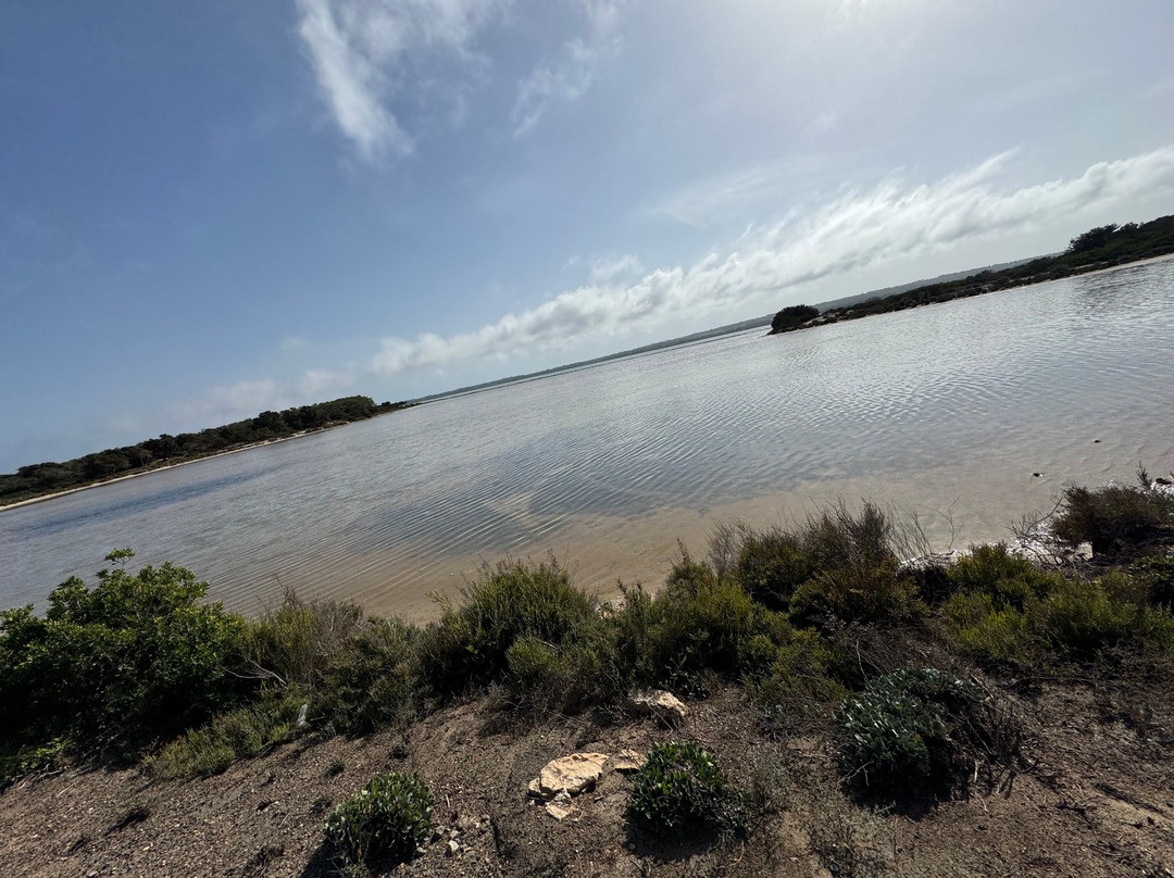 Parc Natural De Ses Salines-福门特拉岛必去景点
