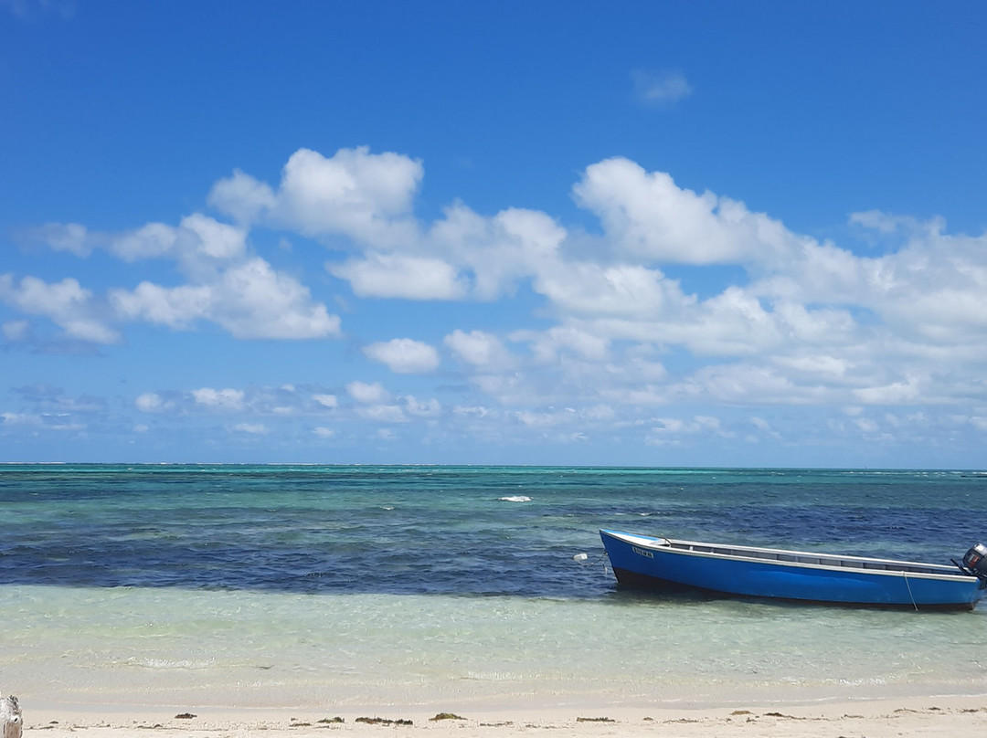 Johaness Speedboat & Catamaran Cruises景点图片