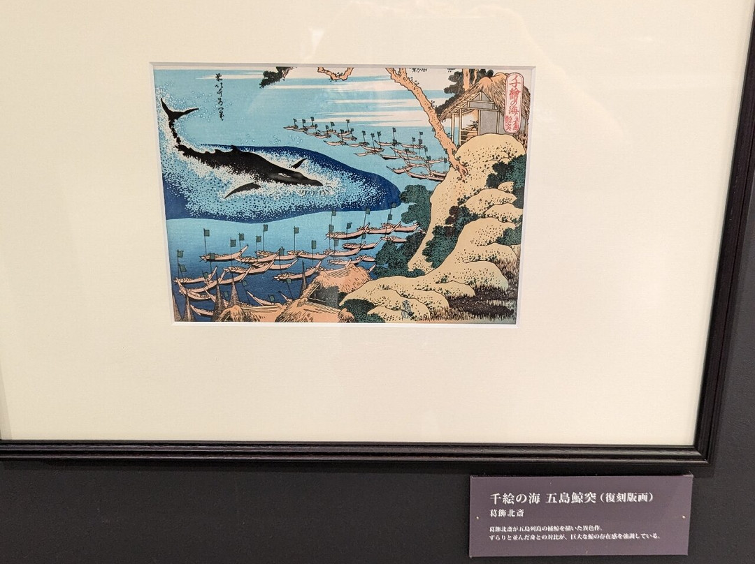 Whale Museum-室户市必去景点