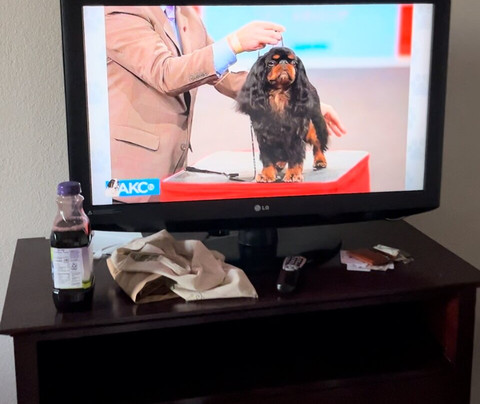 卡特雷拉威假日酒店主图