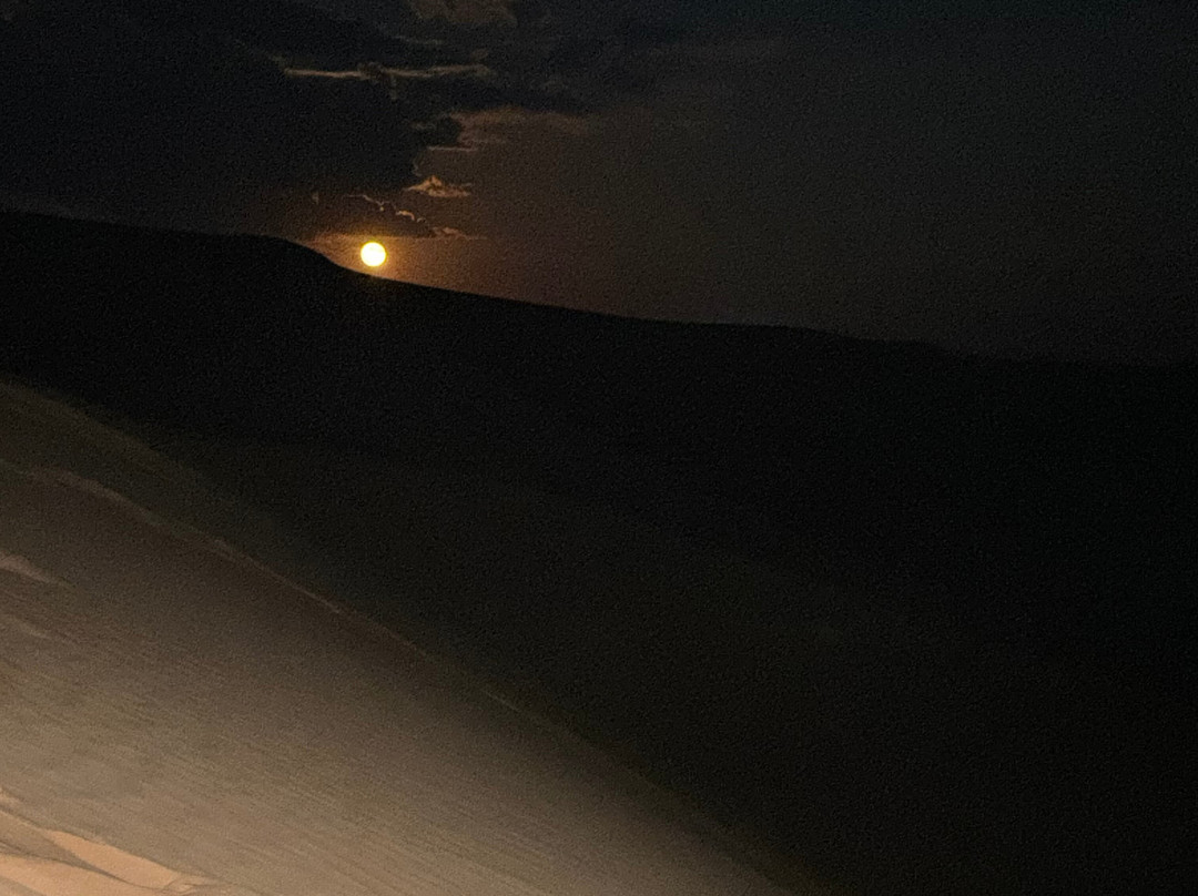 Liwa Desert Safari-阿布扎比必去景点