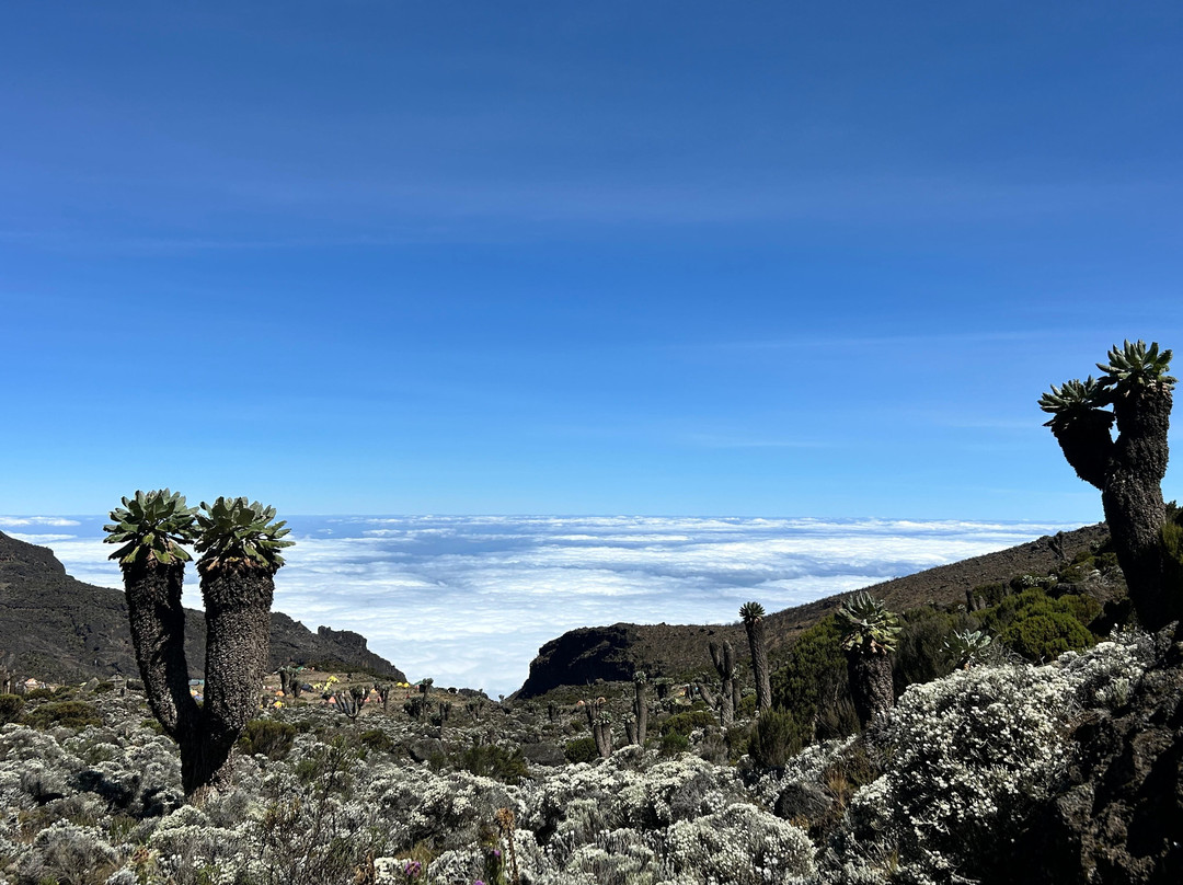 FB Tanzania Expeditions景点图片