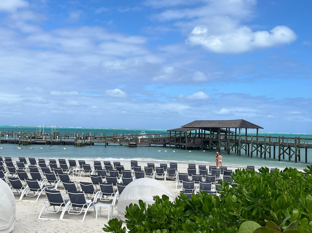 ROYAL TREATMENT LIMO TAXI & TOURS CO.-拿骚必去景点