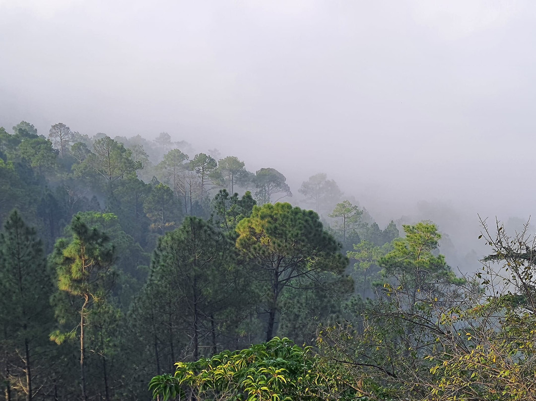 Imperial Heights Binsar主图