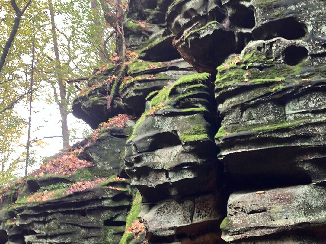 Naturparkzentrum Teufelsschlucht景点图片
