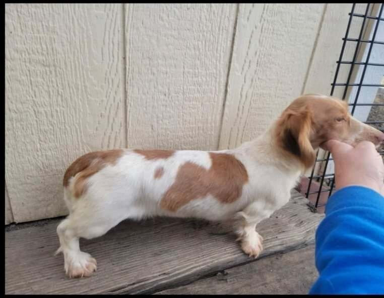 Cousin's Country Inn主图