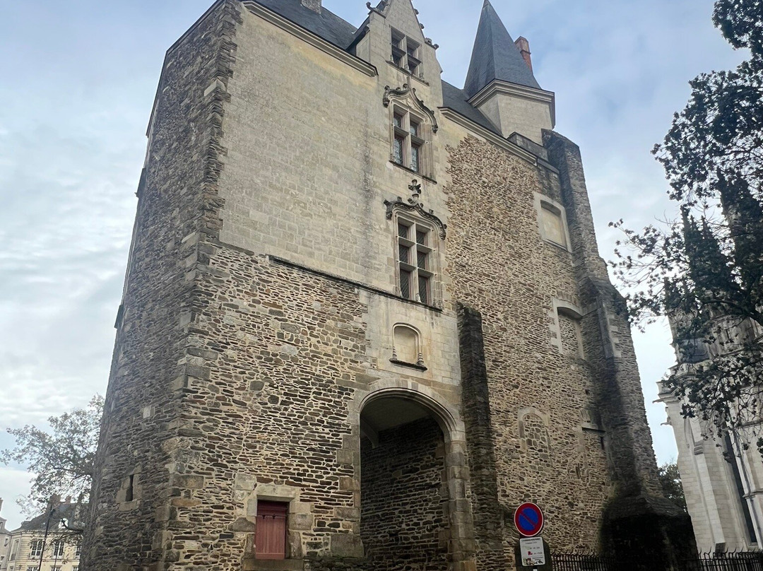 Basilique Saint Nicolas景点图片