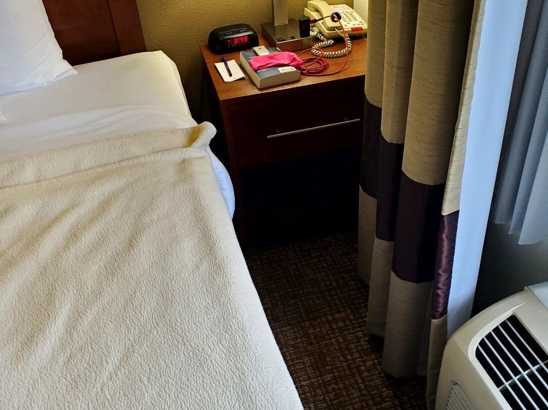 Comfort Inn & Suites Cambridge主图