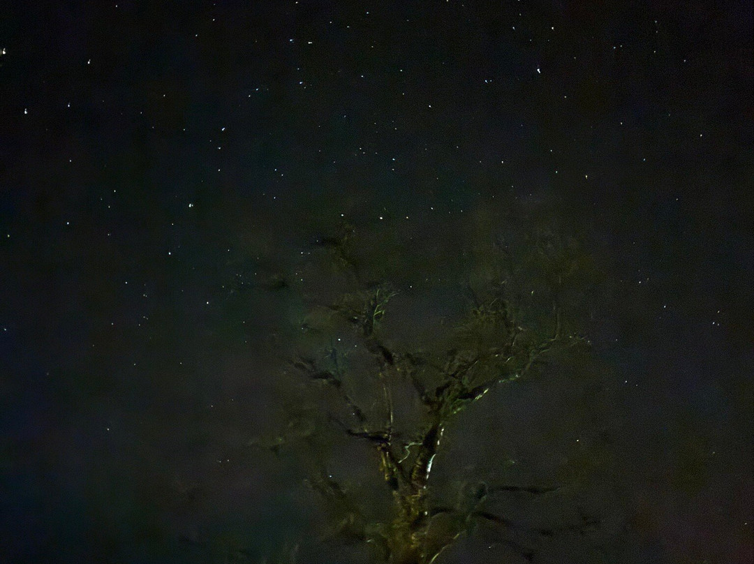 Dark Sky Wales-Porth必去景点