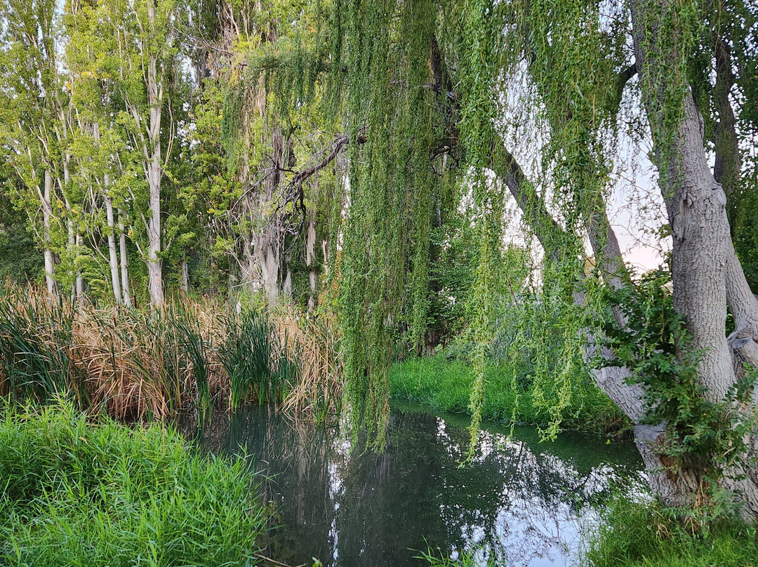 Walla Walla Point Park景点图片