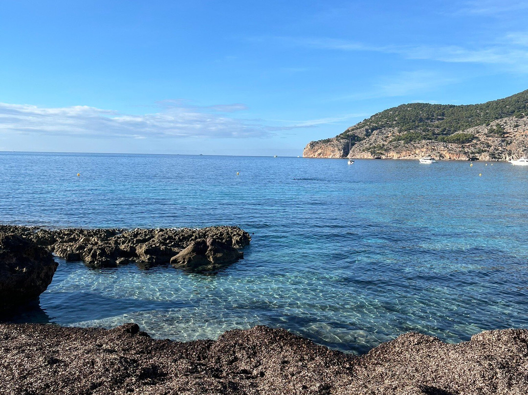 Camp de Mar Beach景点图片