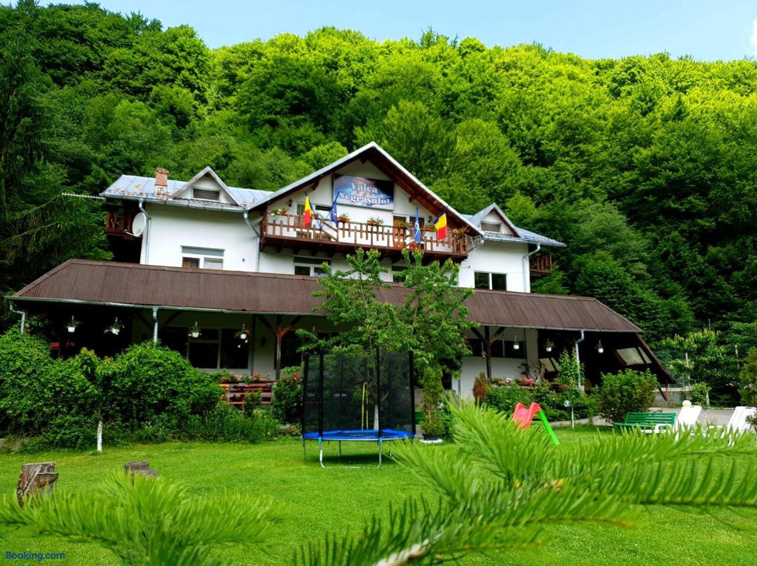 Pension Valea Negrasului