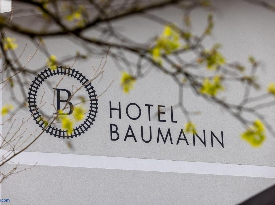 Hotel Baumann