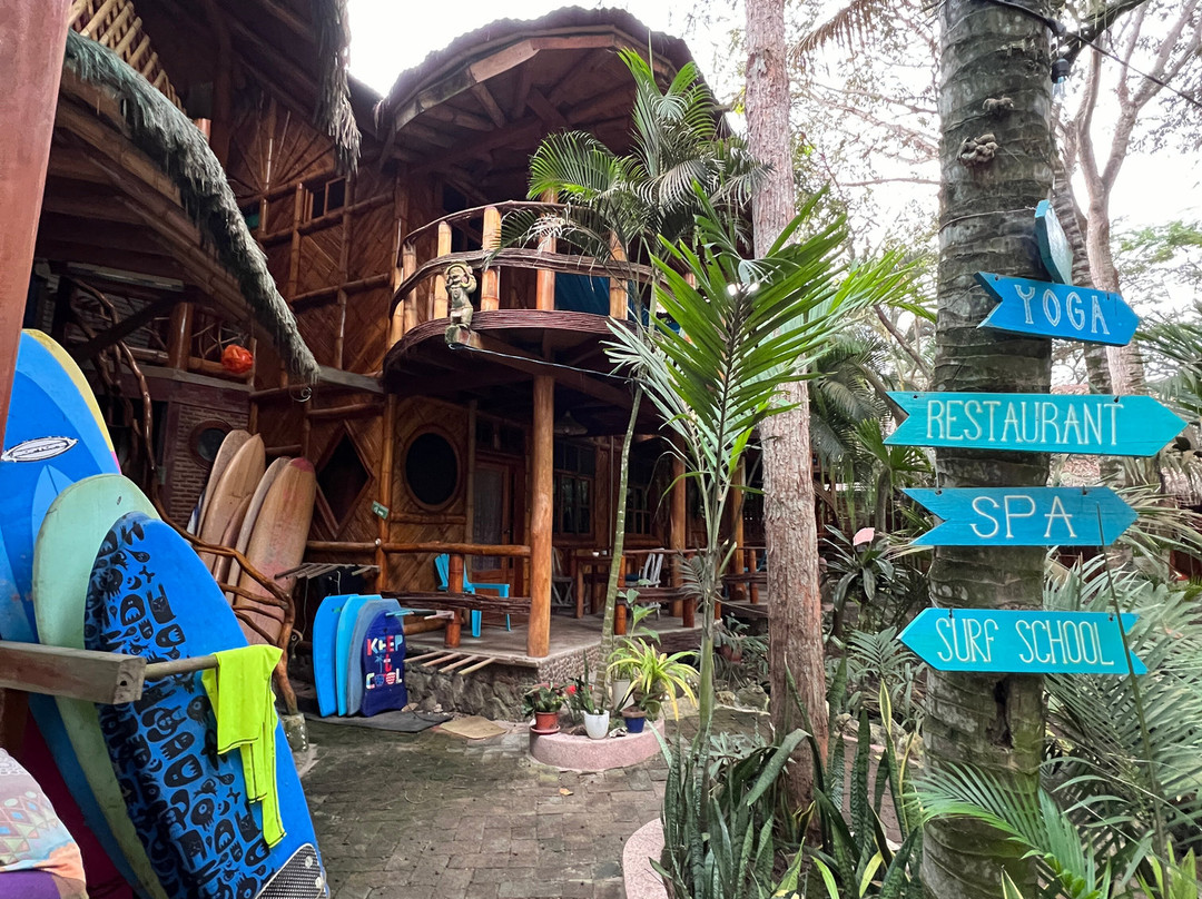 Balsa Surf Camp主图