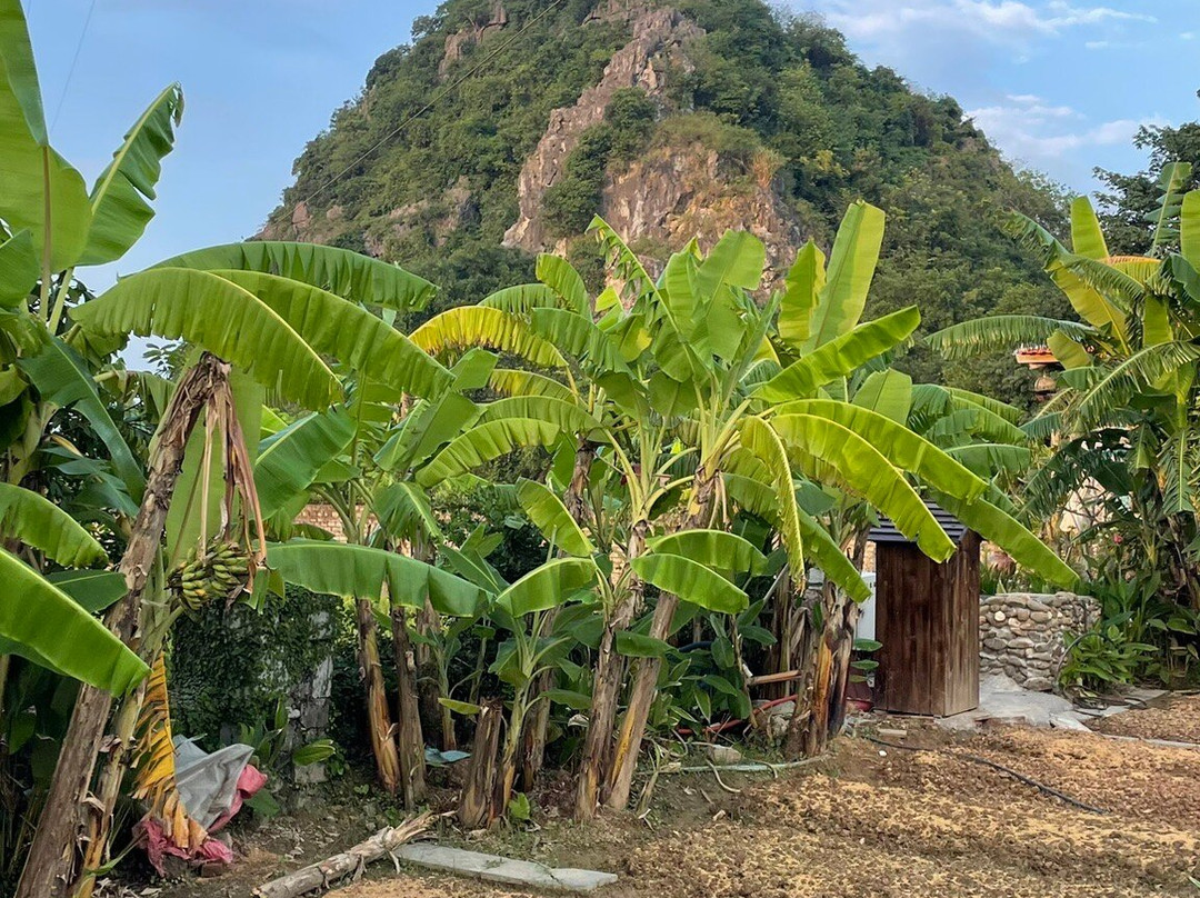 ChezCao Rice Field Ecolodge Ninh Binh