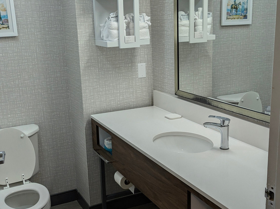 Hampton Inn Kansas City The Legends主图