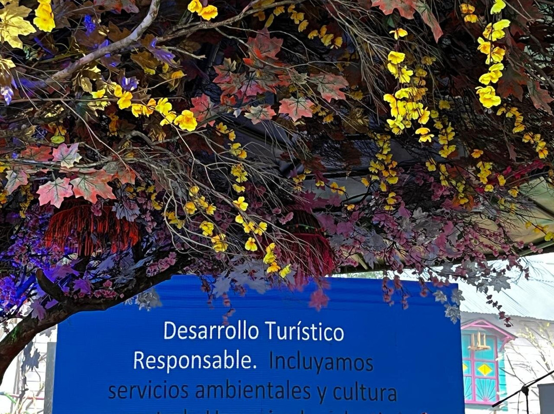 Mirador la Mano del Gigante