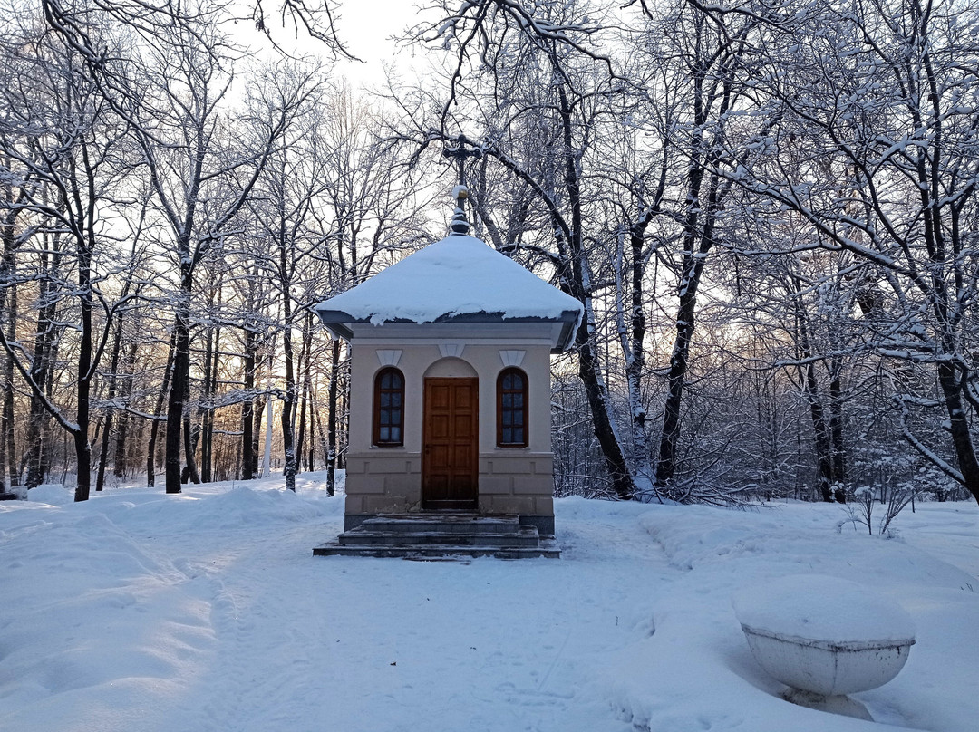 Dubki Park of Culture and Leisure景点图片