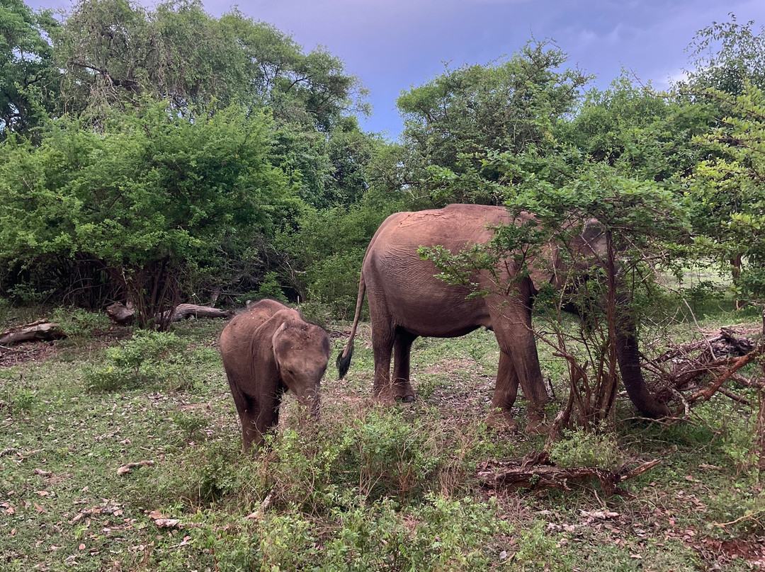Awesome Lanka Travels-加勒必去景点