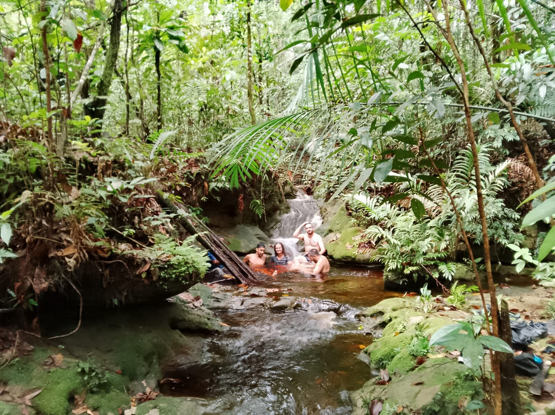Discovery Amazon