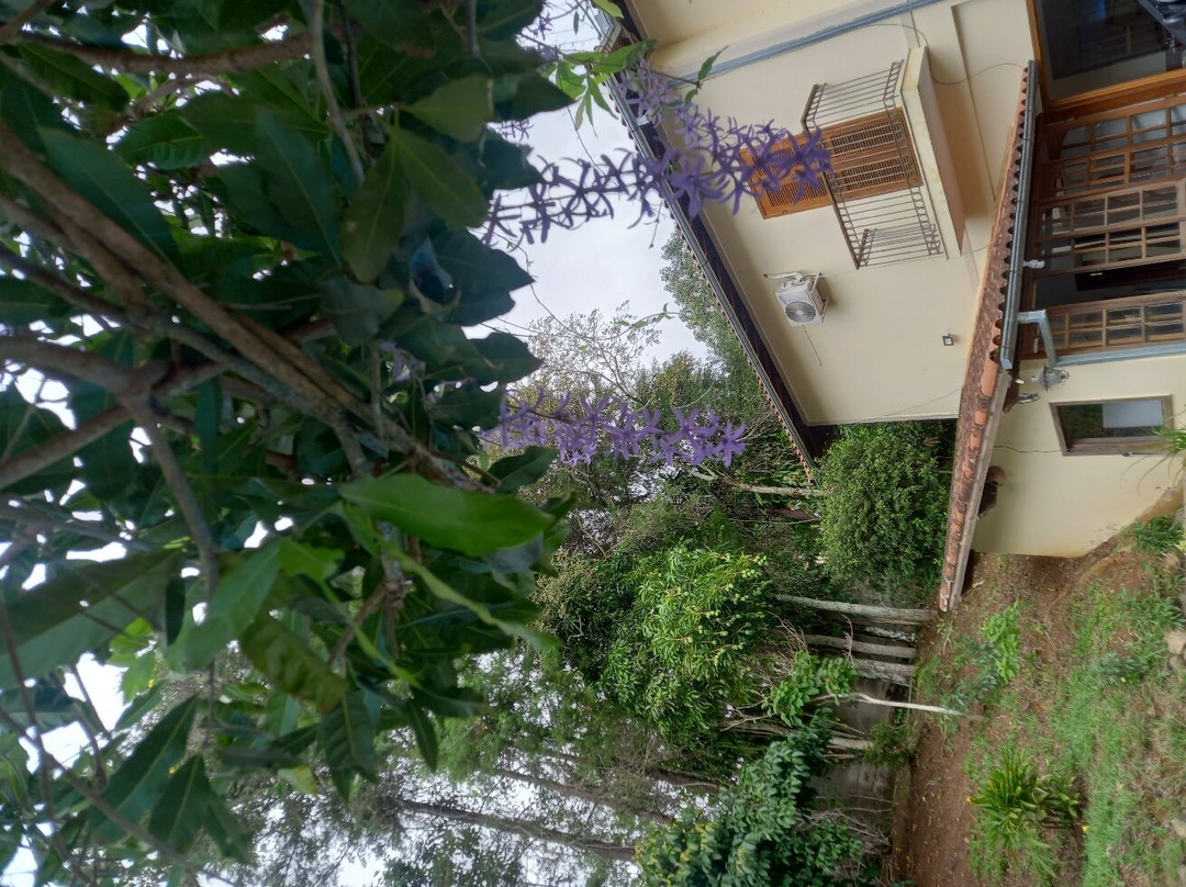 Pousada da Figueira主图