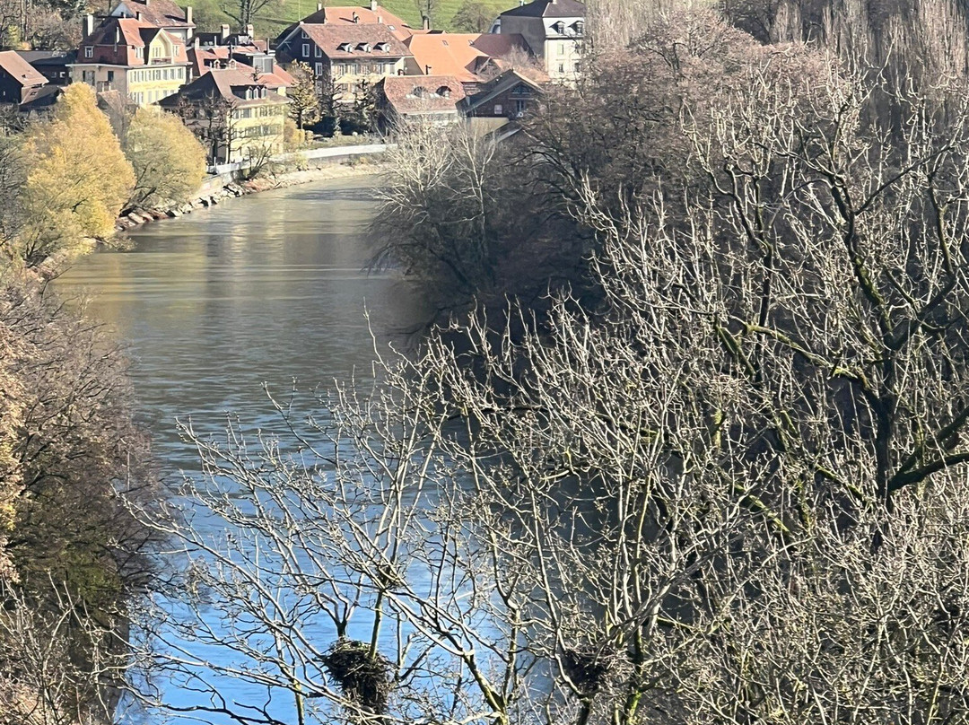 Kornhausbrücke-伯尔尼必去景点