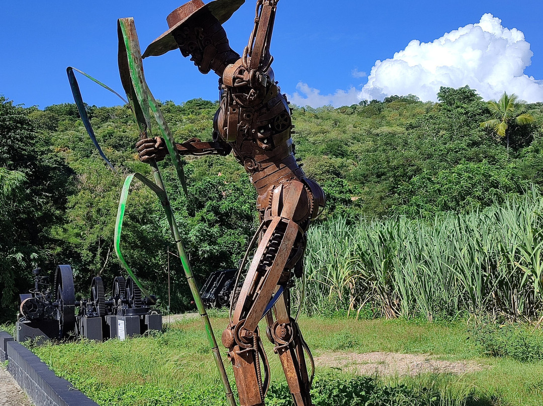 Neisson Distillery (Distillerie Neisson)-马提尼克必去景点