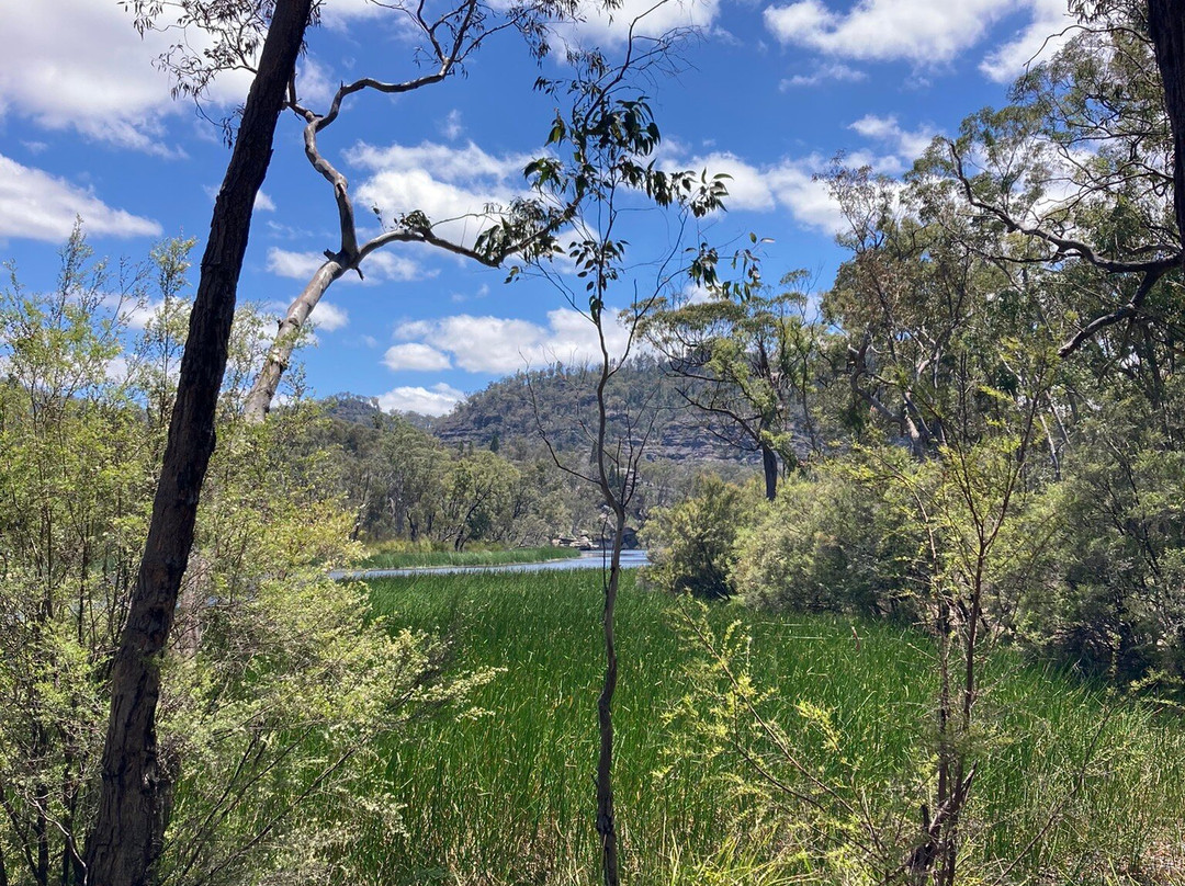 Dunns Swamp-马奇必去景点