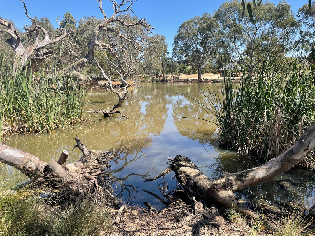 Melton Botanic Garden景点图片