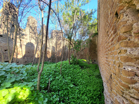 Ars In Urbe  Aps-罗马必去景点