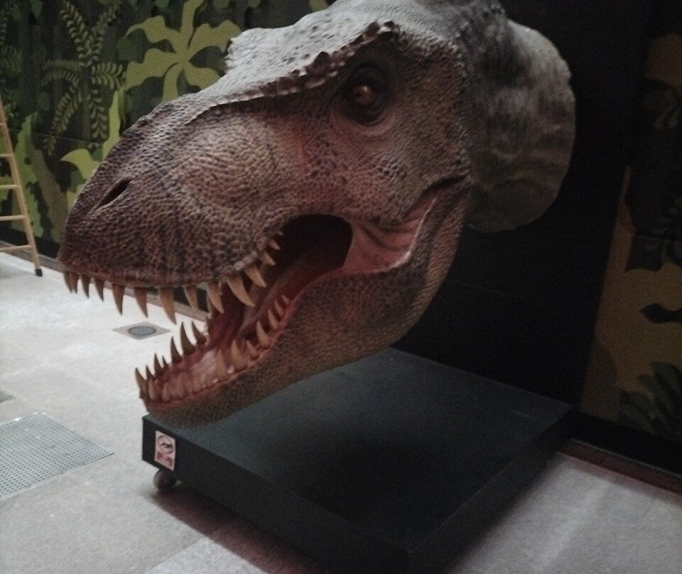 Museo Arqueológico y Paleontológico-阿尔卡拉-德-哈纳雷斯必去景点