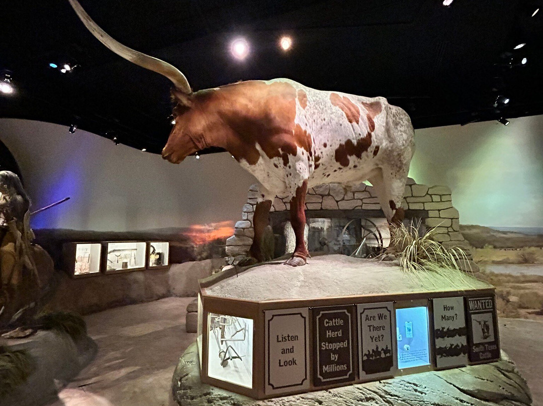 威特博物馆-圣安东尼奥市必去景点