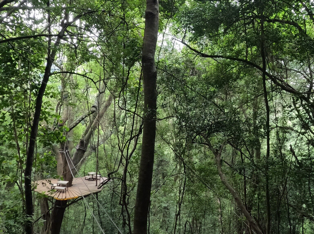 Drakensberg Canopy Tour-Cathkin Park必去景点