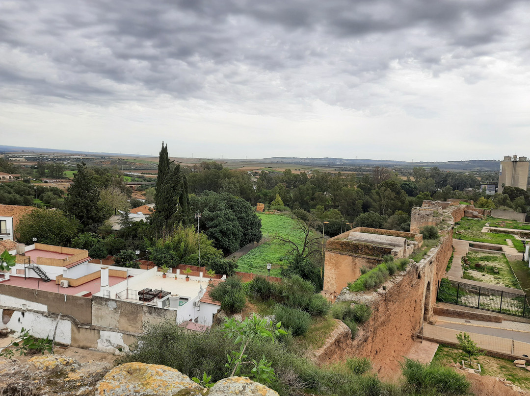 Castillo de Niebla景点图片