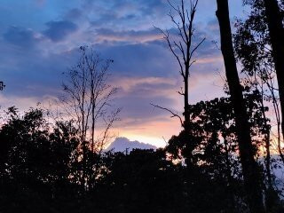 Vythiri Mist Resort主图