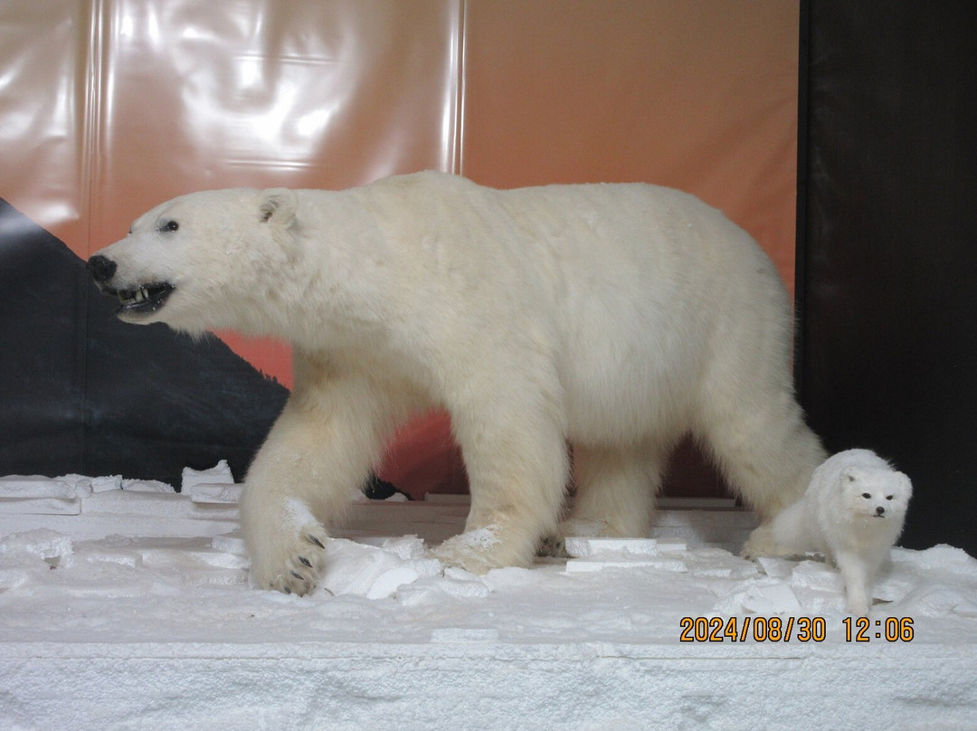 Gros Morne Wildlife Museum-Rocky Harbour必去景点