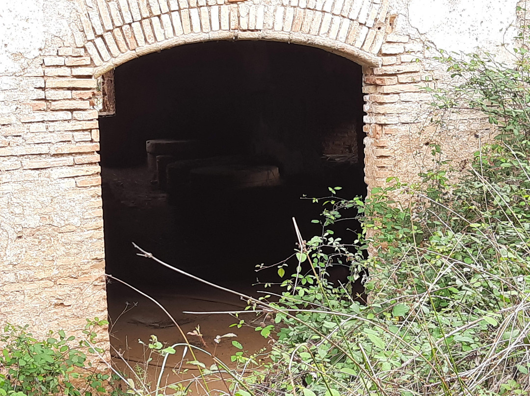Puente Romano景点图片
