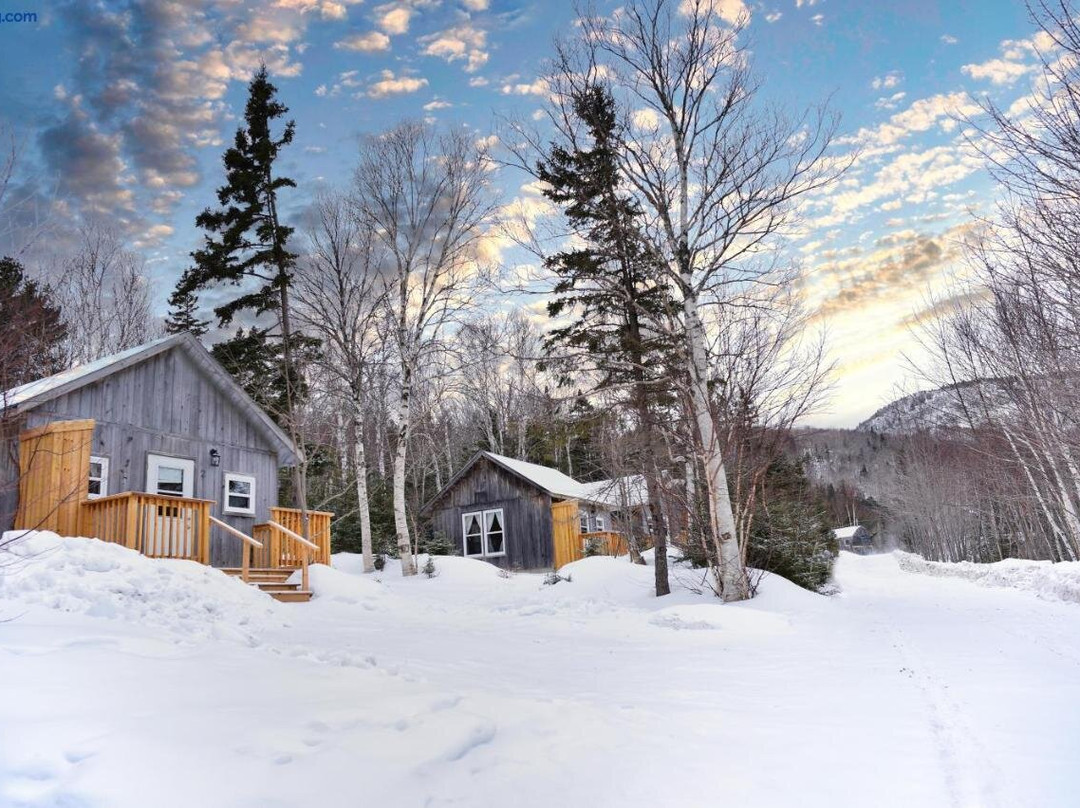 Trailside