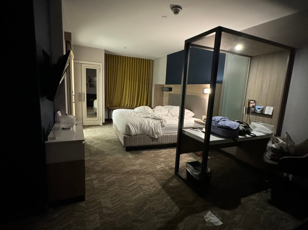 SpringHill Suites by Marriott Oakland Airport主图