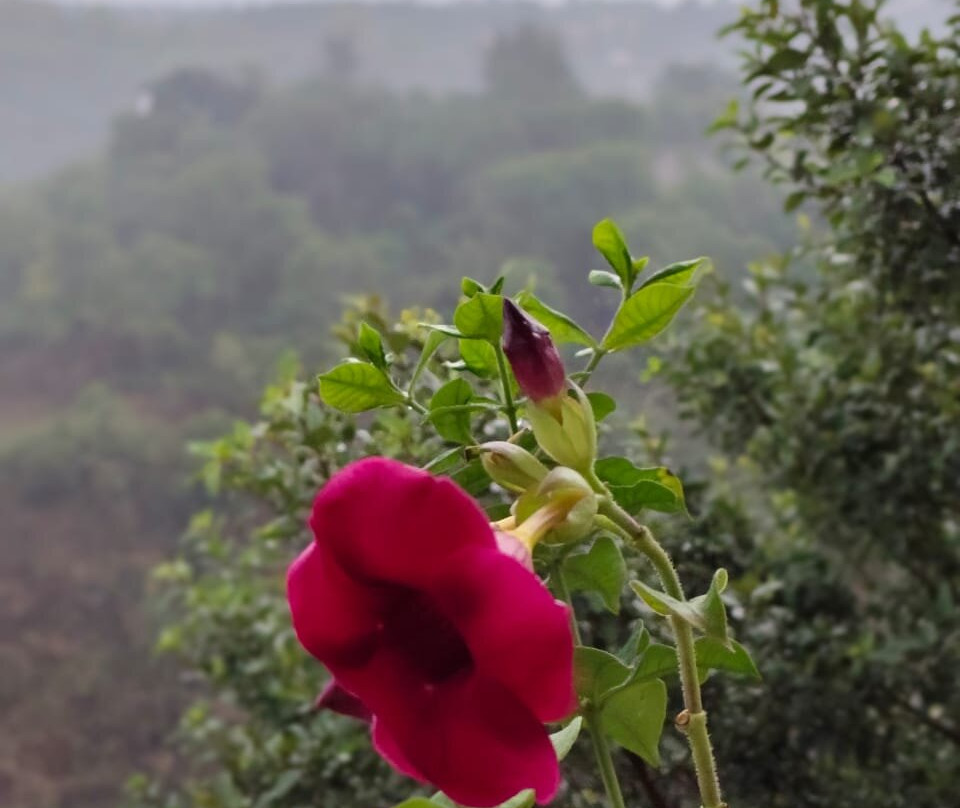 公爵度假酒店主图