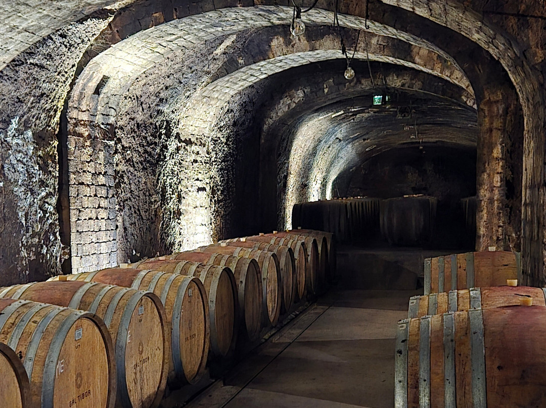 Gal Tibor Winery