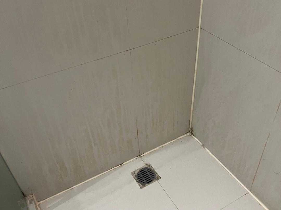 One Saltillo Aeropuerto主图