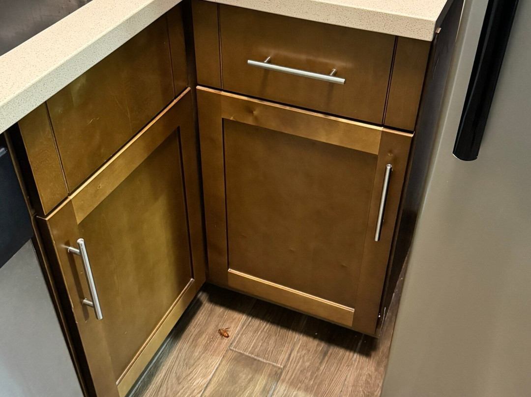 Staybridge Suites San Antonio - Schertz by IHG主图