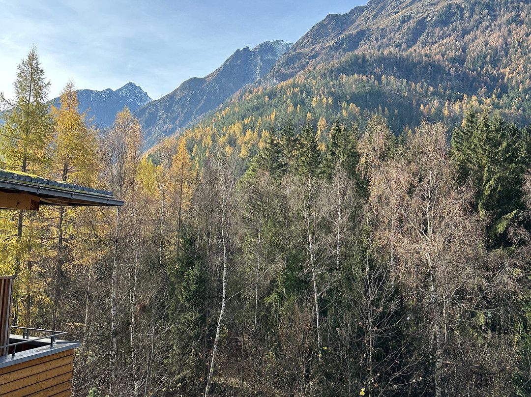 Naturhotel Waldklause主图