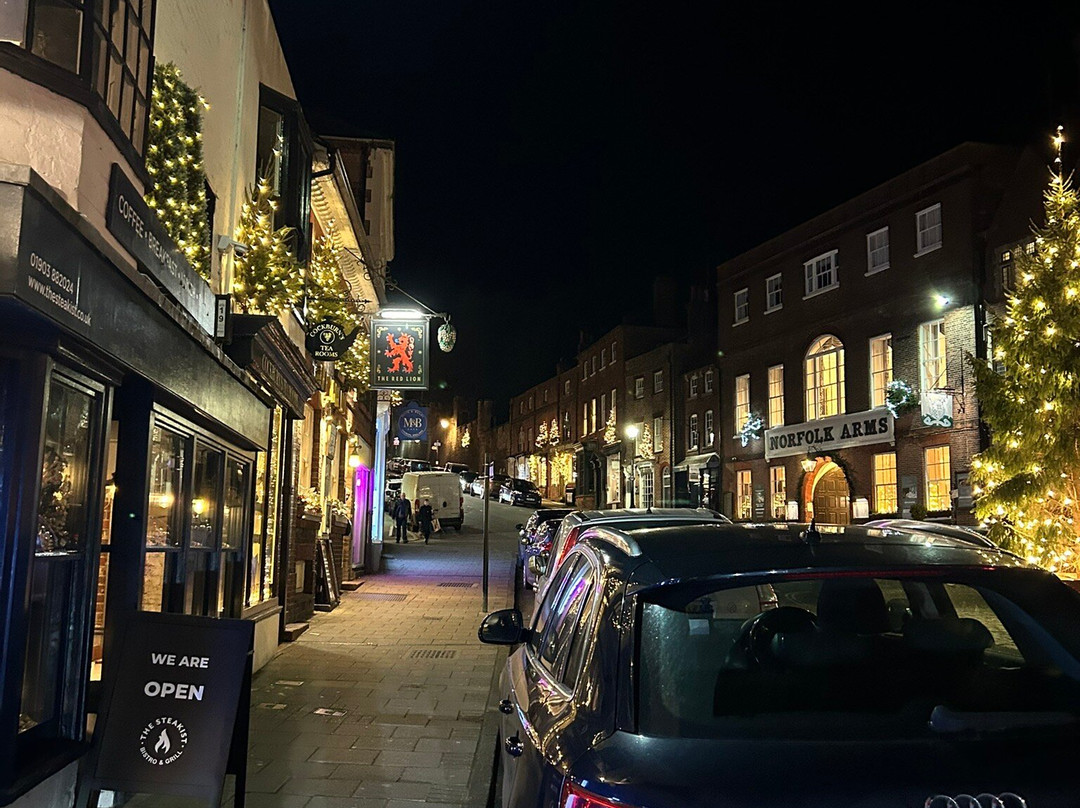 The Swan Hotel, Arundel主图