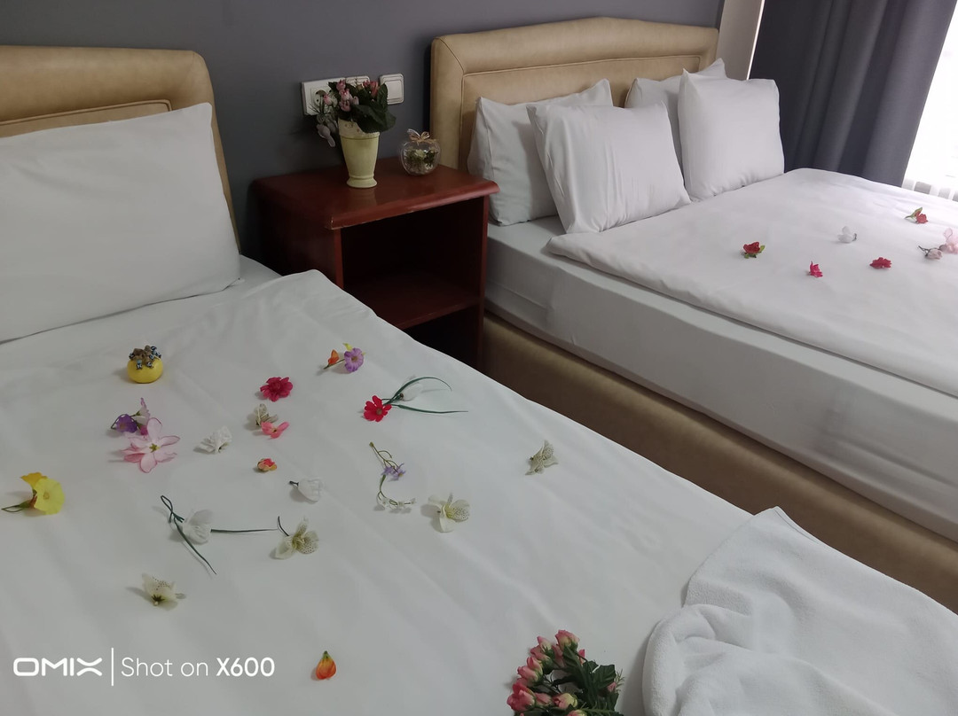 Hotel Cesmeli主图