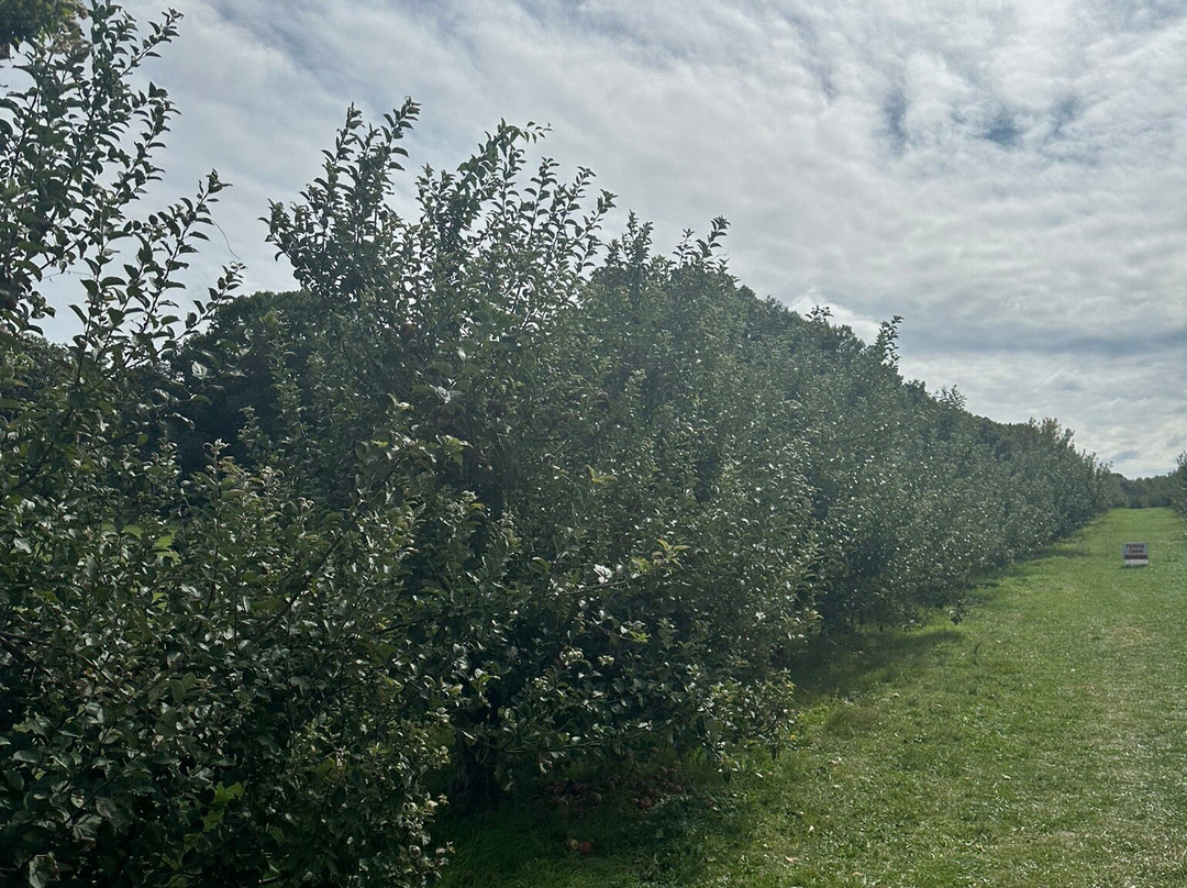 Blue Jay Orchards-Bethel必去景点